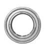 6011 ZZ Rulman (55x90x18 mm)